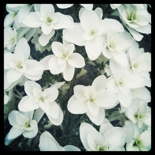 image-20110614190236.png