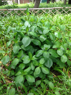 image-20130519113930.png