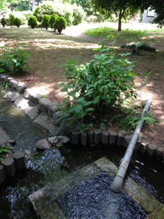 image-20130519114259.png
