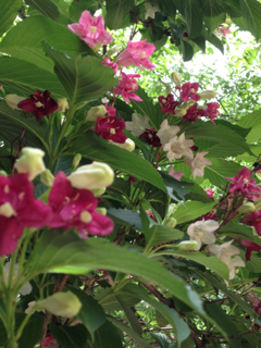 image-20130519201955.png
