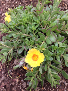 image-20130519202753.png