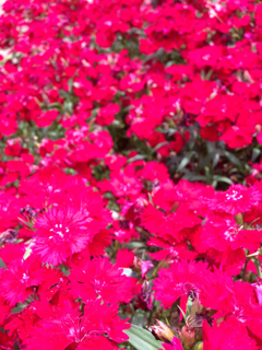 image-20130519205645.png