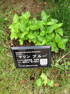 image-20130521163854.png