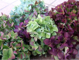 image-20130819143500.png