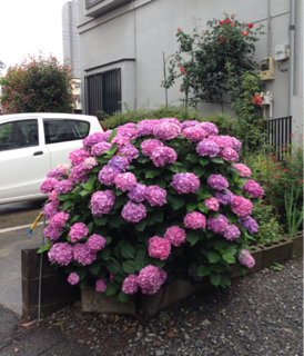 image-20130826164316.png