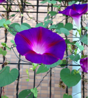 image-20130829164437.png