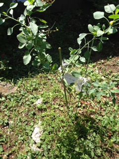 image-20130901225934.png