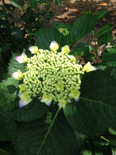 image-20140530134342.png